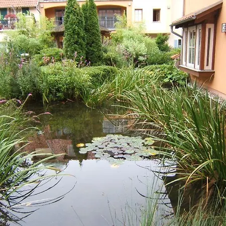 Apartment Kühlungsborn: 2-zi-ferienwohnung Laguna-residenz Am *
